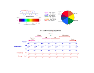 Chem2exp3 - lab exp5 - Water Softening Stephanie R. Geggier New York ...