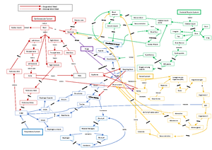 Biochemistry Practical BIOM 1051 CHOW Julia - Course Code BIOM 1051 ...