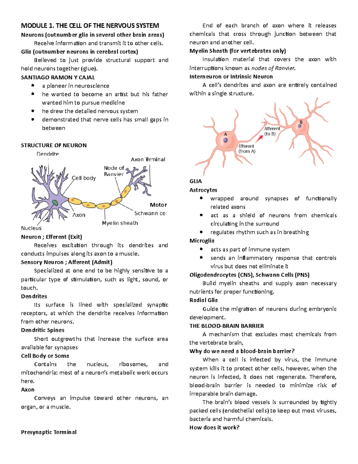 Biological Psychology - MODULE 1. THE CELL OF THE NERVOUS SYSTEM ...