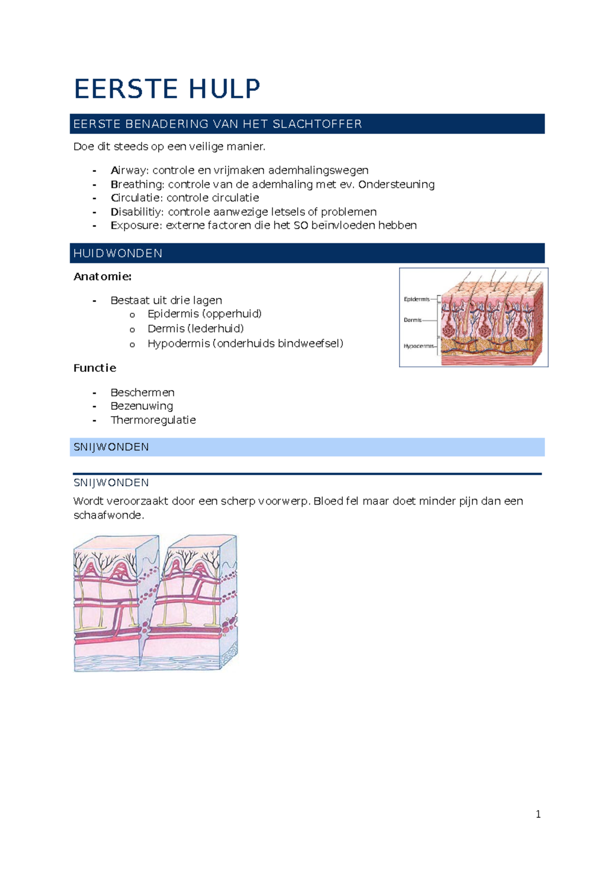 Eerste Hulp Samenvattingen - EERSTE HULP EERSTE BENADERING VAN HET ...