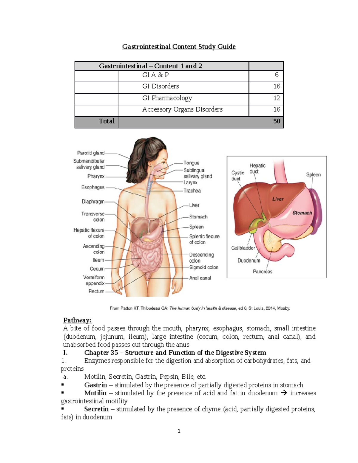Patho II Exam 1 Study Guide C Spring 2022 VCU - Gastrointestinal ...
