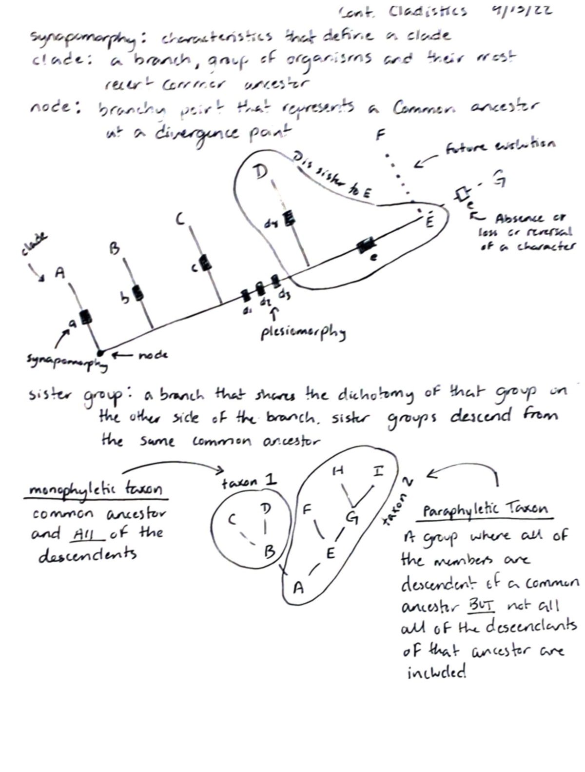 Invert Lecture Notes 9.13.22 - Cont Cladistics 9/13/ Synapomorphy ...