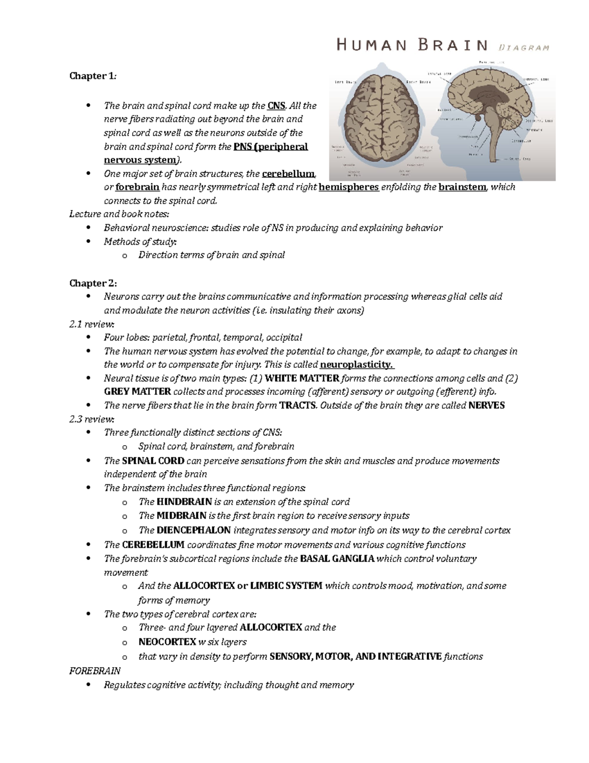 Biopsych EXAM 1 Ch notes - Chapter 1: The brain and spinal cord make up ...