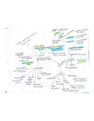 NEW Level 3 Concept Map NGN-1 - Recognize Cues (10 pts) - Assessment ...