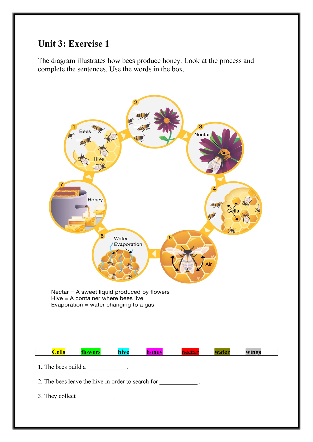 Unit 3 Writing Unit 3 Exercise 1 The Diagram Illustrates How Bees Produce Honey Look At 4684