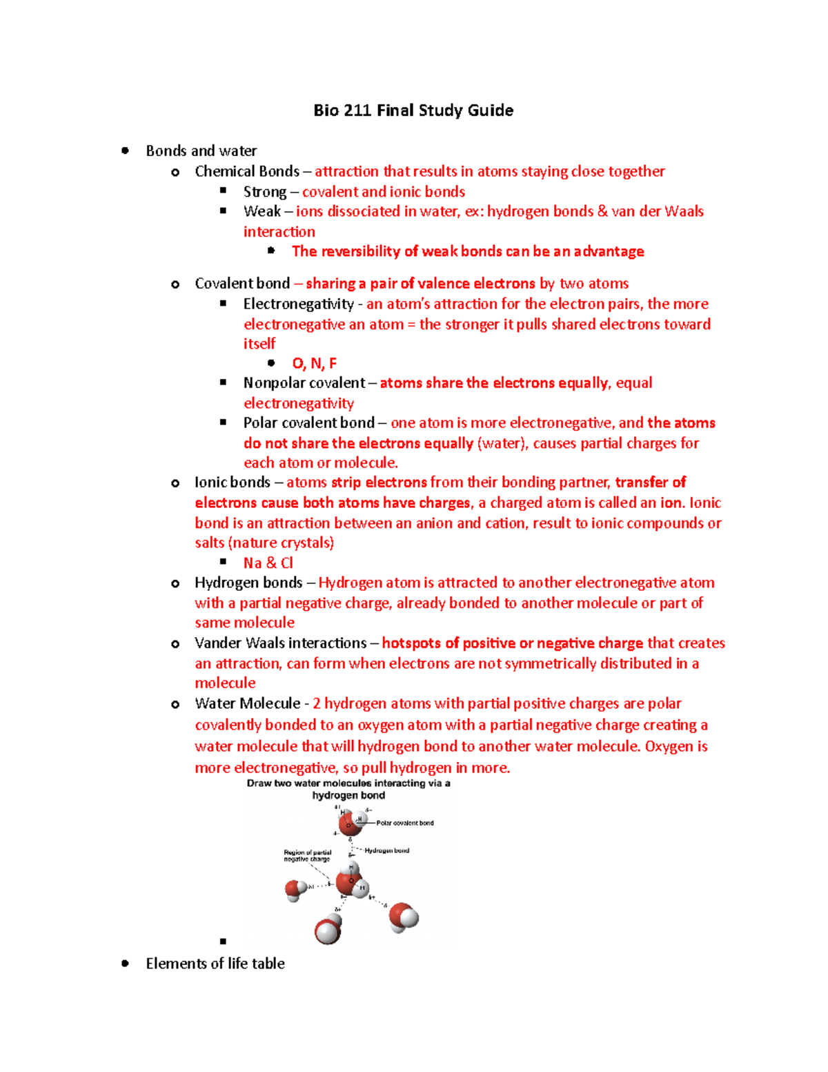 Bio 211 Final Study Guide - Bio 211 Final Study Guide Bonds And Water O ...