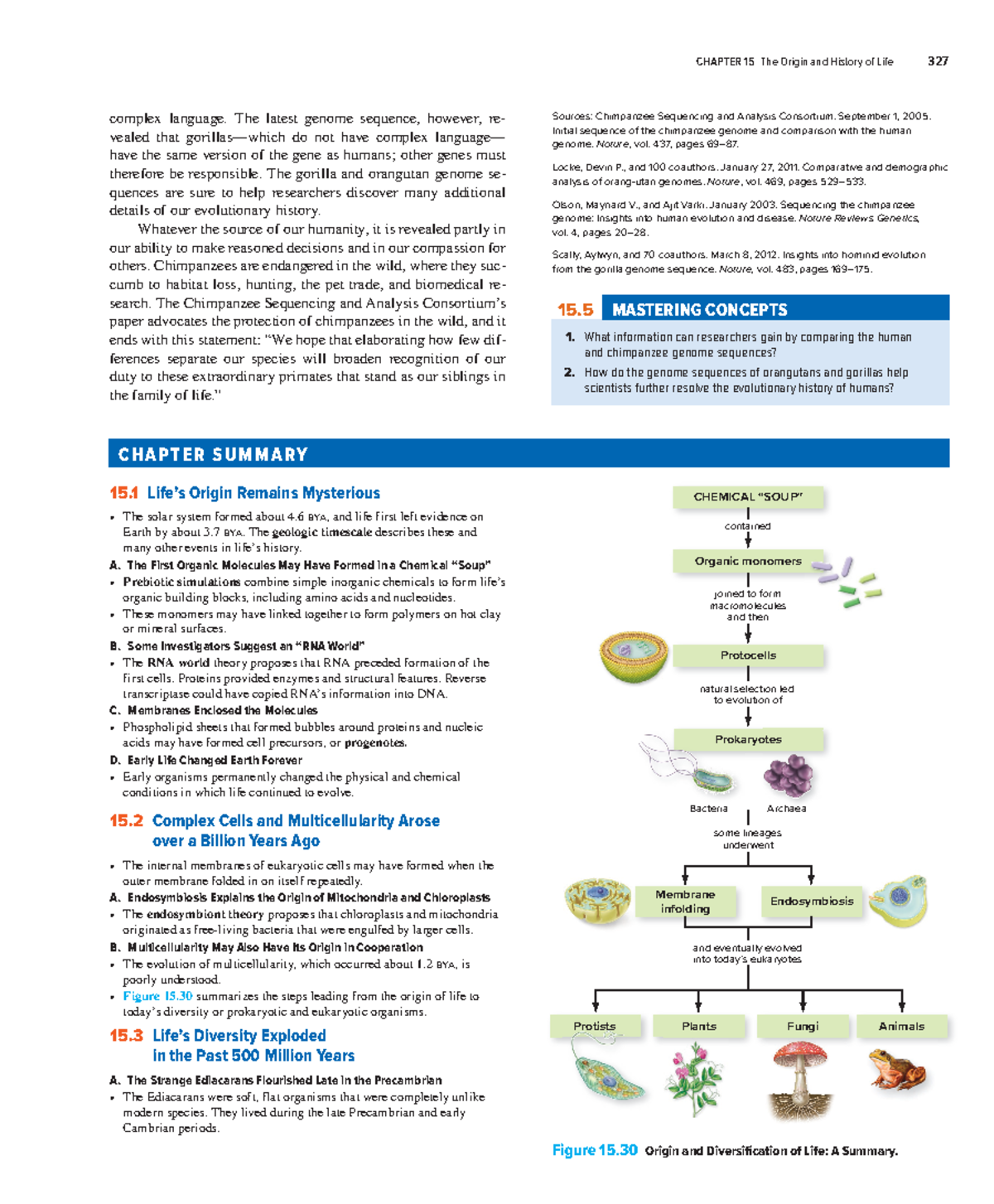 Biology Concepts and Investigations, Chapter Fifteen Review - complex ...