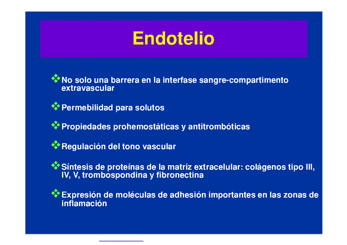 3 Endotelio vascular 2 - BIOQUIMICA - Endotelio vNo solo una barrera en ...