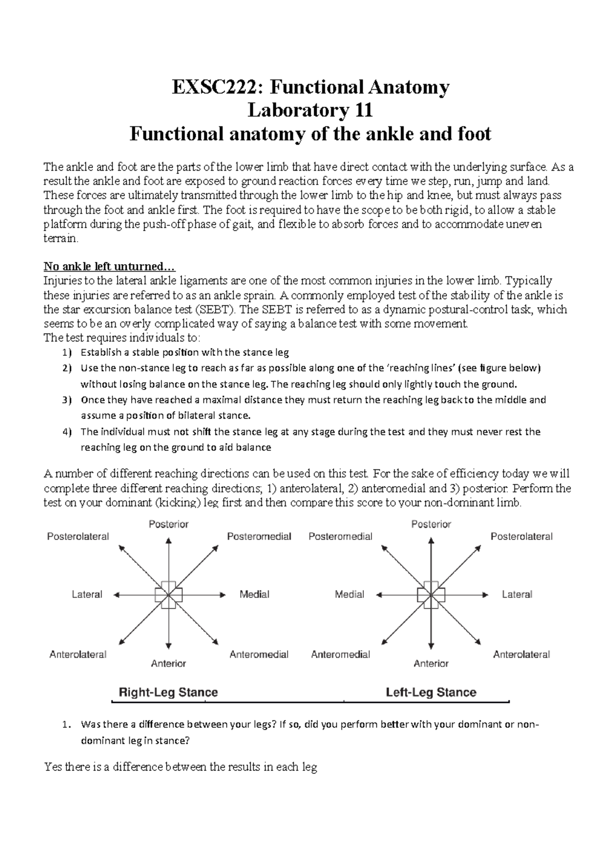 EXSC222 Lab 11 - Functional anatomy of the ankle and foot - EXSC222 ...