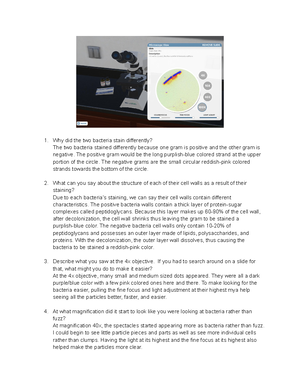 ISCI 104 Lab 7 Behavioral Scenarios with Baboon Tales Questions Sample ...