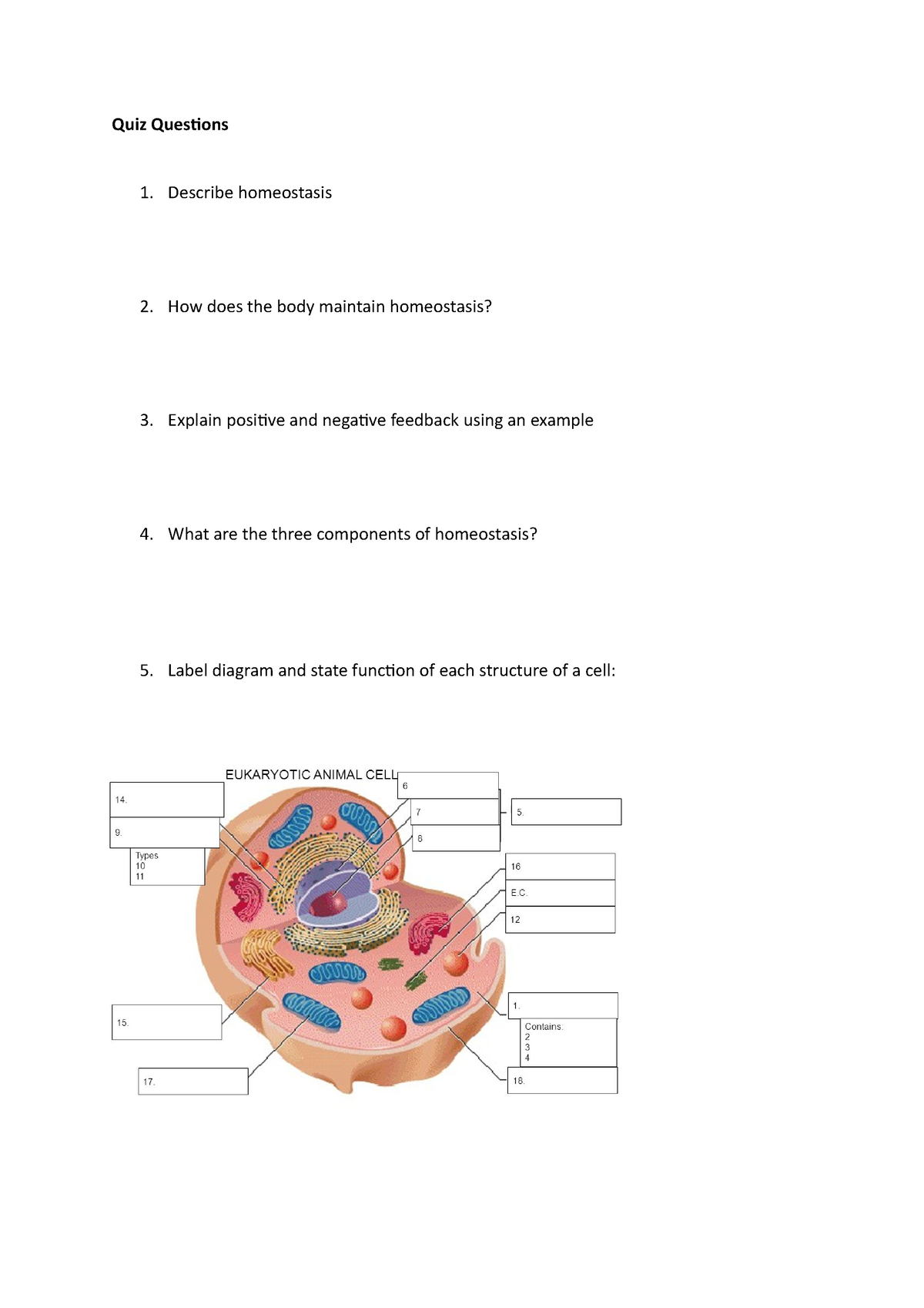 Quiz Questions Physiology Test 1 - Quiz Questions 1. Describe ...