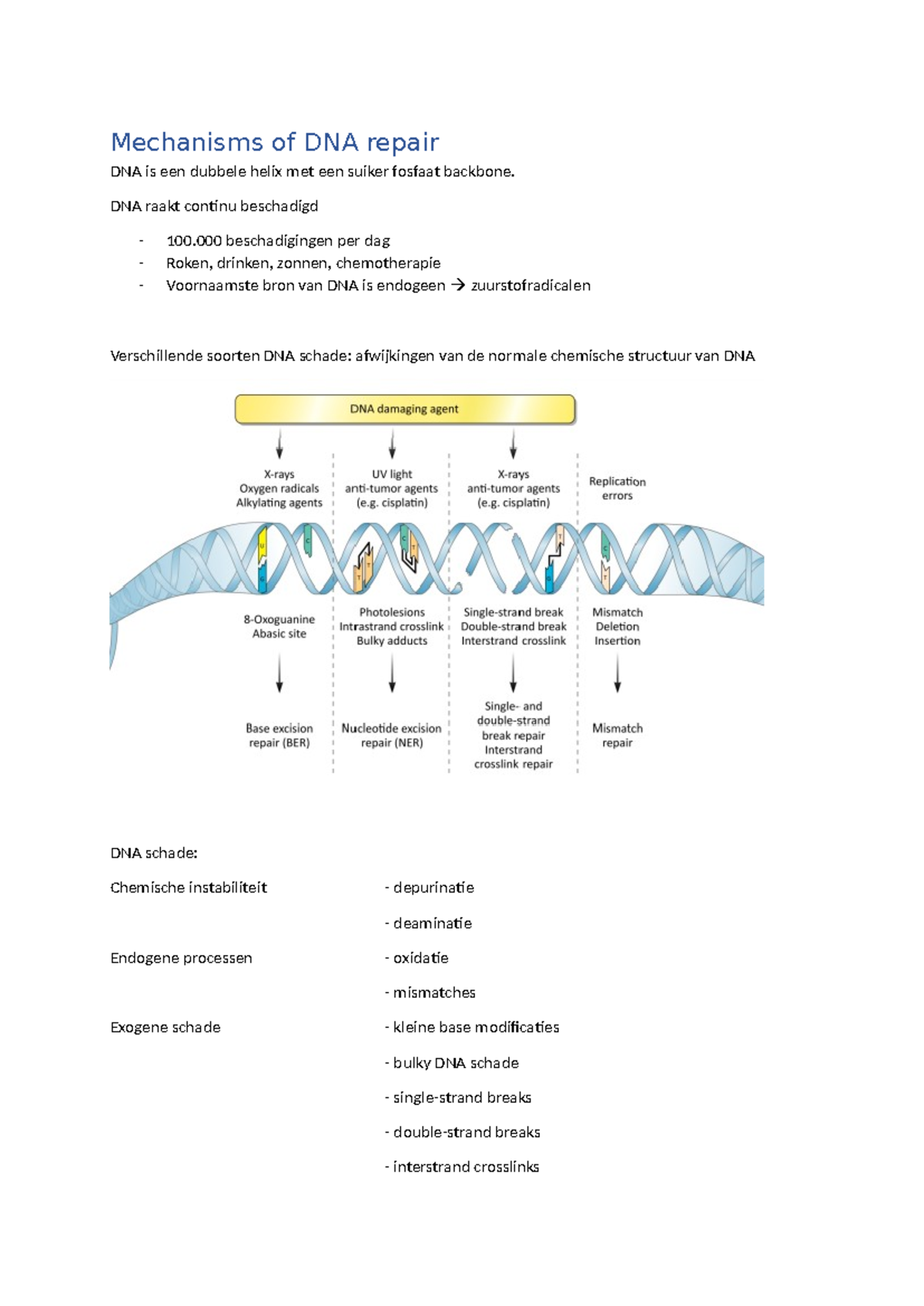 8. HC Mechanisms of DNA repair - Mechanisms of DNA repair DNA is een ...