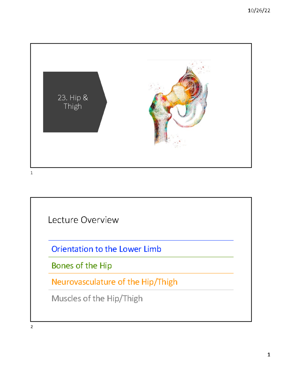Hip And Thigh Examples 23 Hip Thigh 1 Lecture Overview Orientation Hip And Thigh Examples 23 Hip Thigh 1 Lecture Overview Orientation