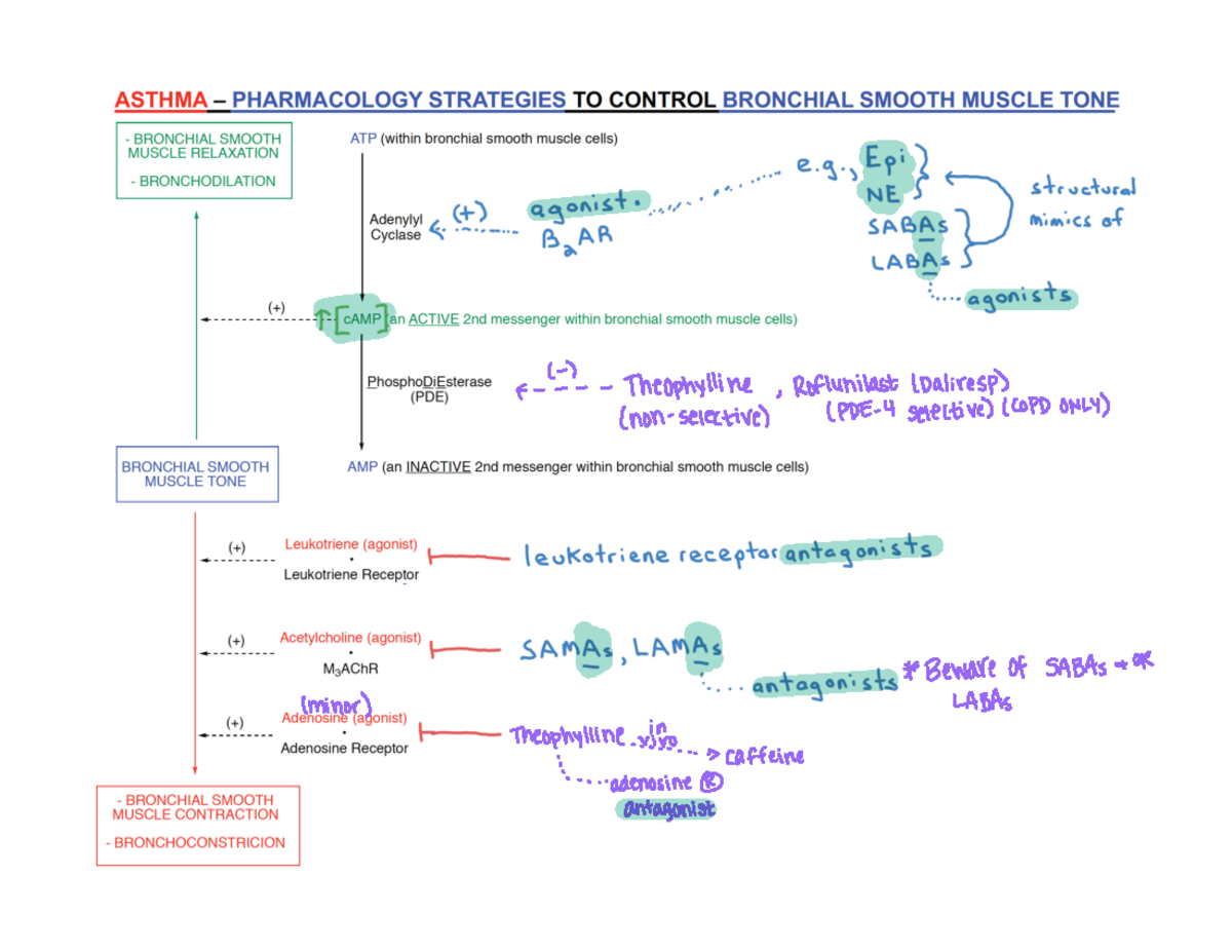 Lapinsky+Incomplete+Respiratory+Notes+For+20220907 - F ...