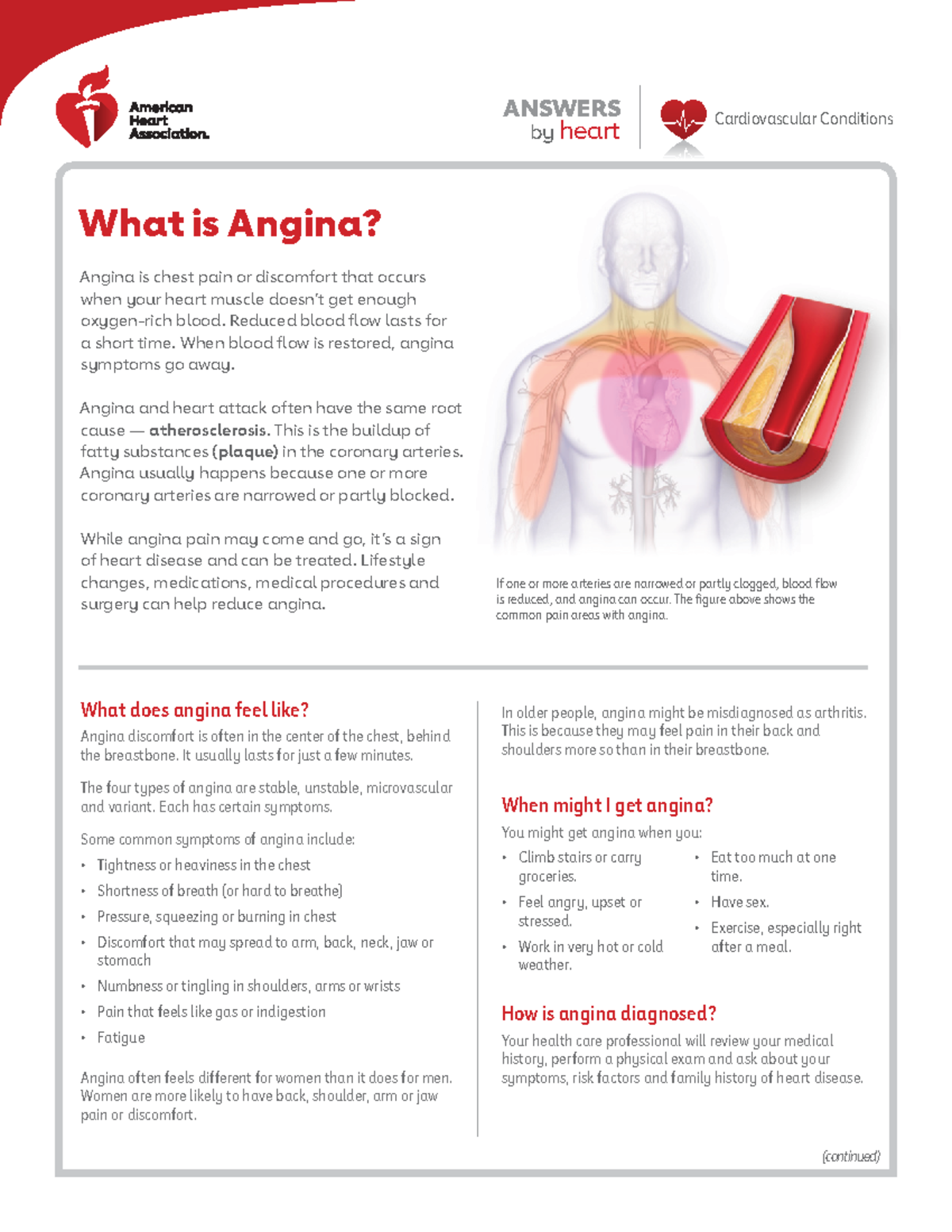 what-is-angina-answers-cardiovascular-conditions-by-heart-what-does