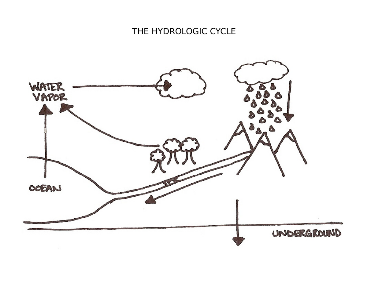 cycles-activity-s-cards-the-hydrologic-cycle-the-hydrologic-cycle