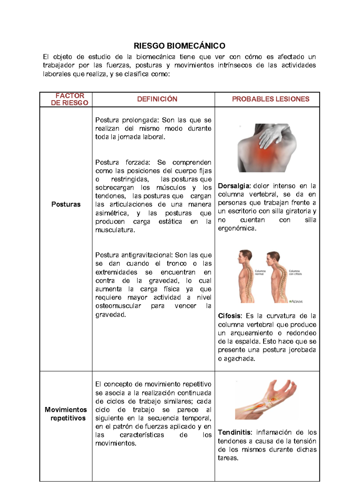 Riesgo Biomecanico Jhoiner Barrios - RIESGO BIOMECÁNICO El Objeto De ...