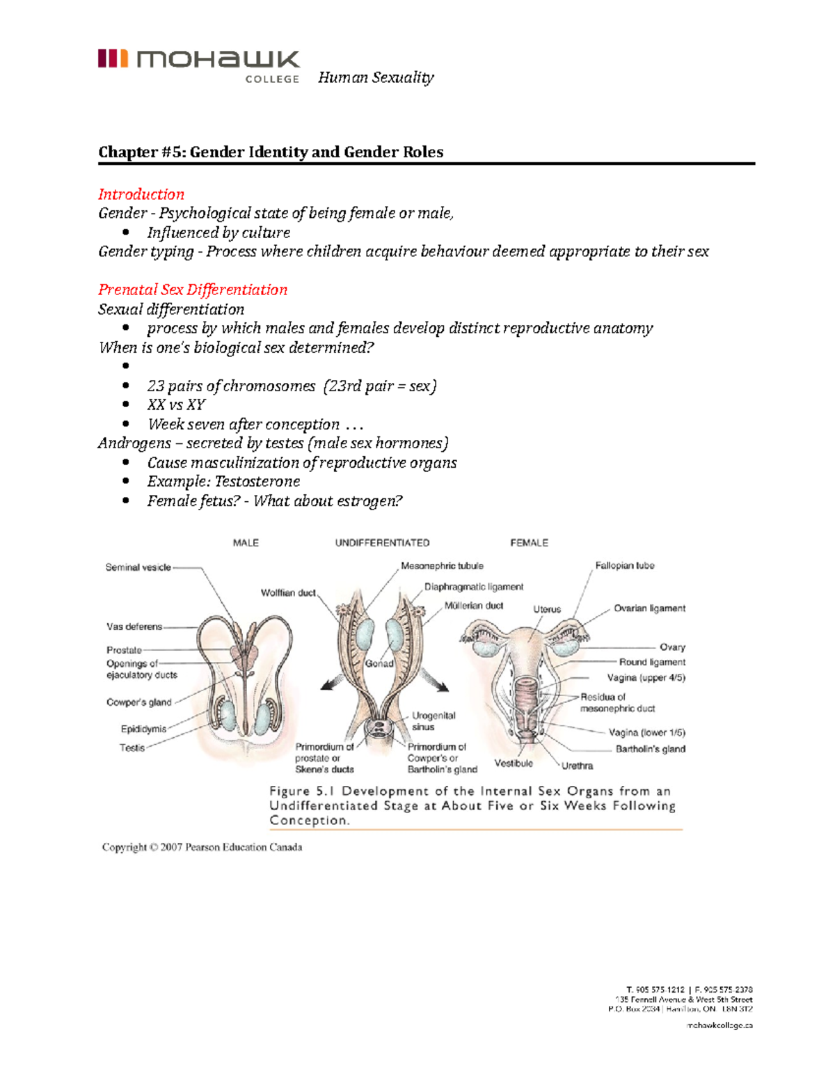 Chapter 5 Gender Roles And Gender Identity Human Sexuality Chapter 5 Gender Identity And