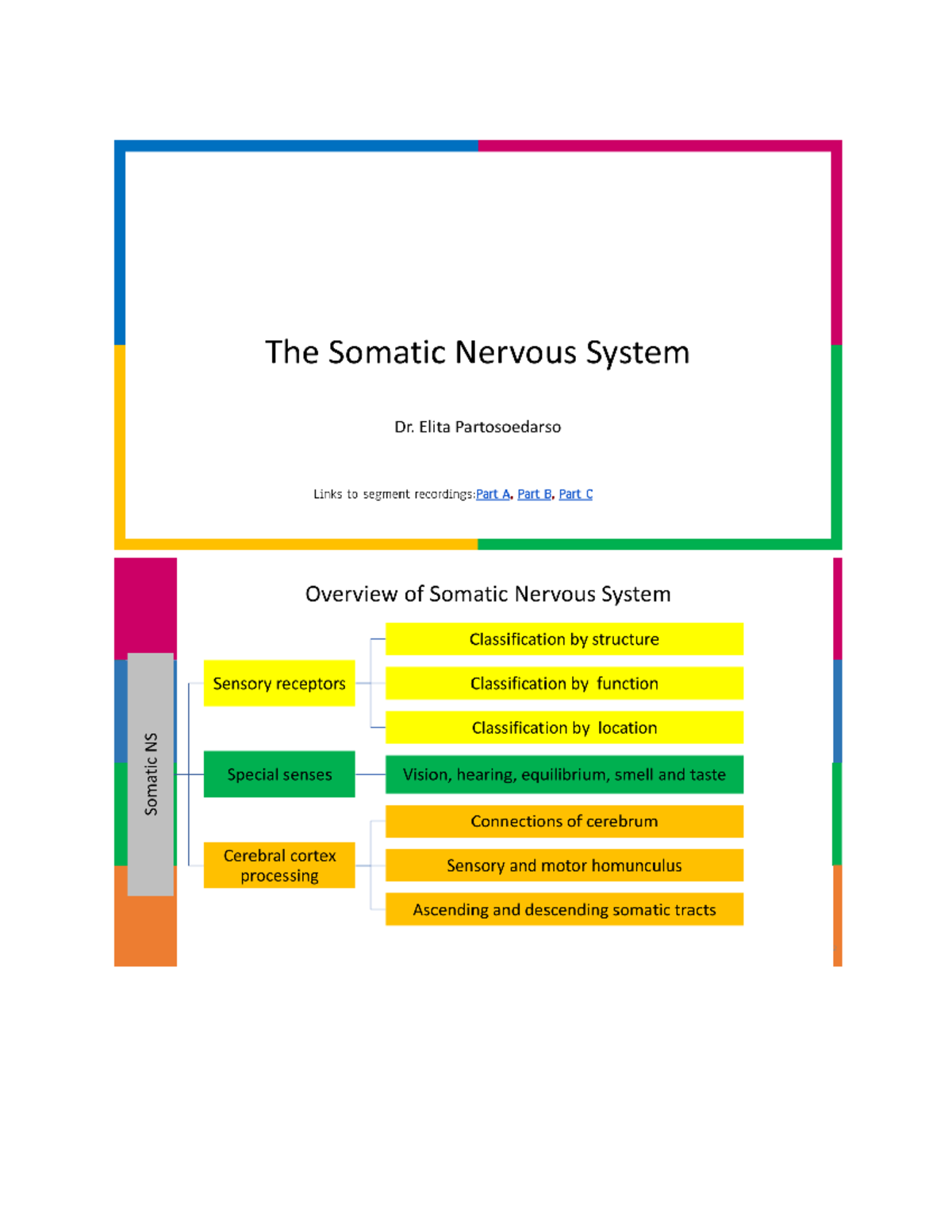 Lecture 18 Somatic Nervous System - HLSC1700 - Studocu