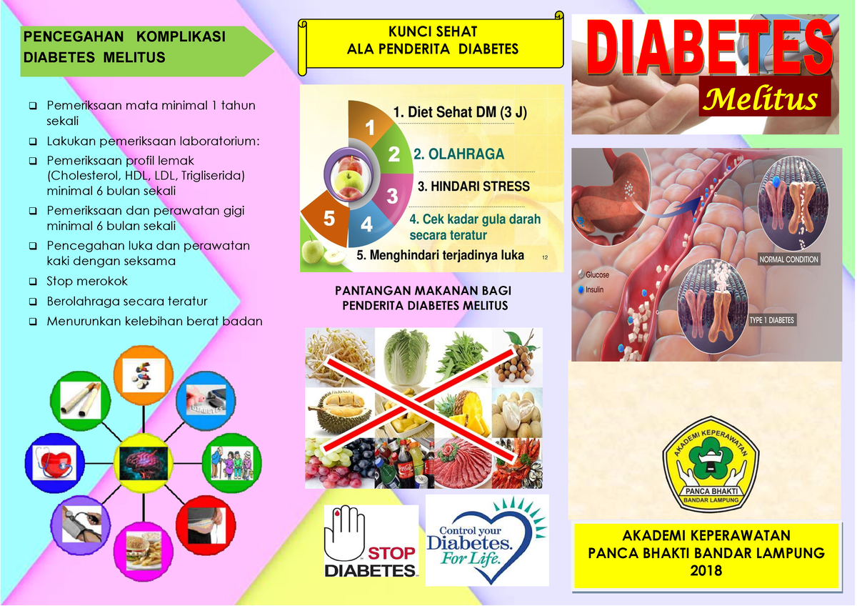 Diet Diabetes Melitus Pdf Homecare24