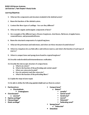 EXAM 2-BIO 212 - exam 2 - Physiology Exam 1. In response to stepping on ...