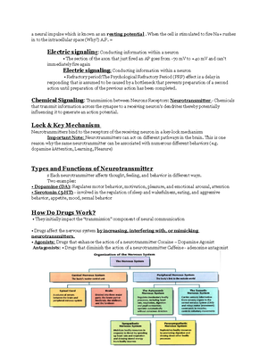 CH 7 learning objectives - Learning Goals: Chapter 7 – Learning ...
