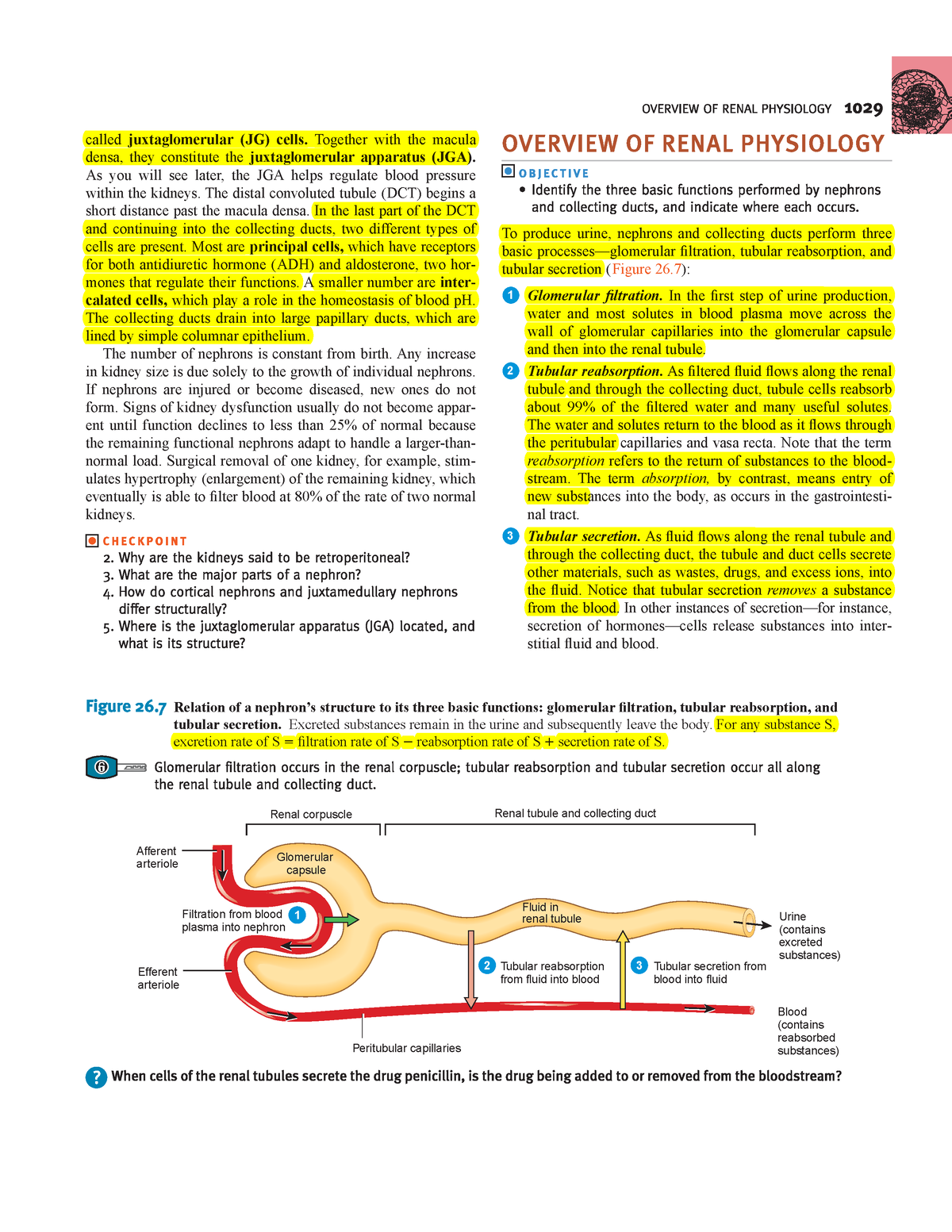 DOC-20230918-WA0032 - Basic Anatomy And Physiology Are Essential For ...