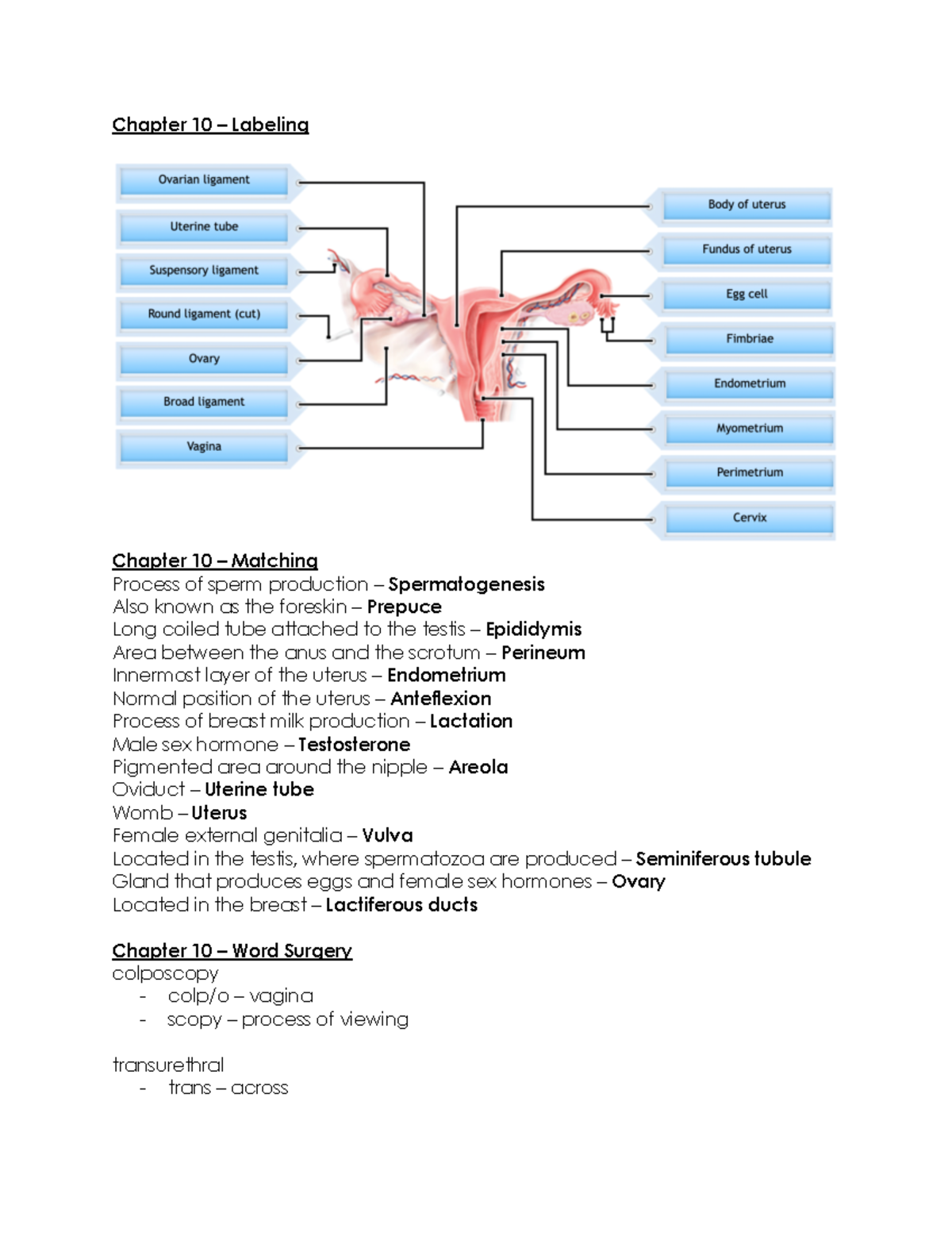 Chapter 10 - Summer Semester - Chapter 10 – Labeling Chapter 10 ...