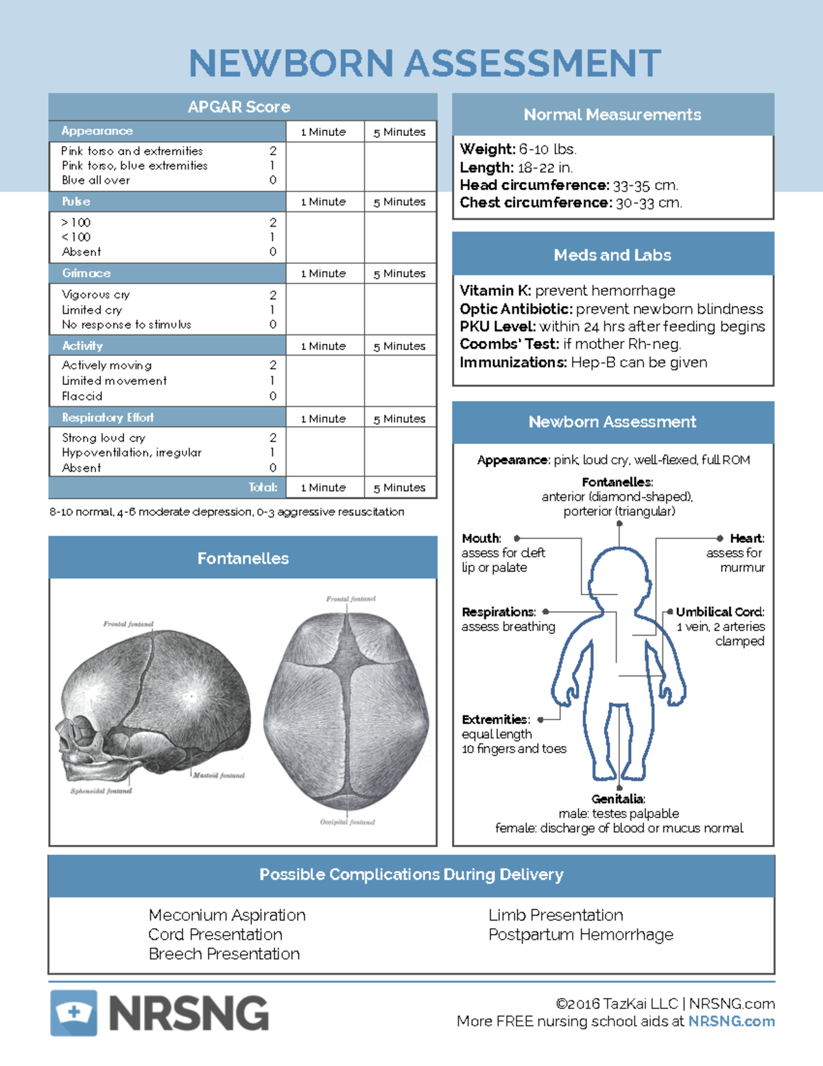 Newborn Assessment - NEWBORN ASSESSMENT 8 - 10 normal, 4- 6 moderate ...