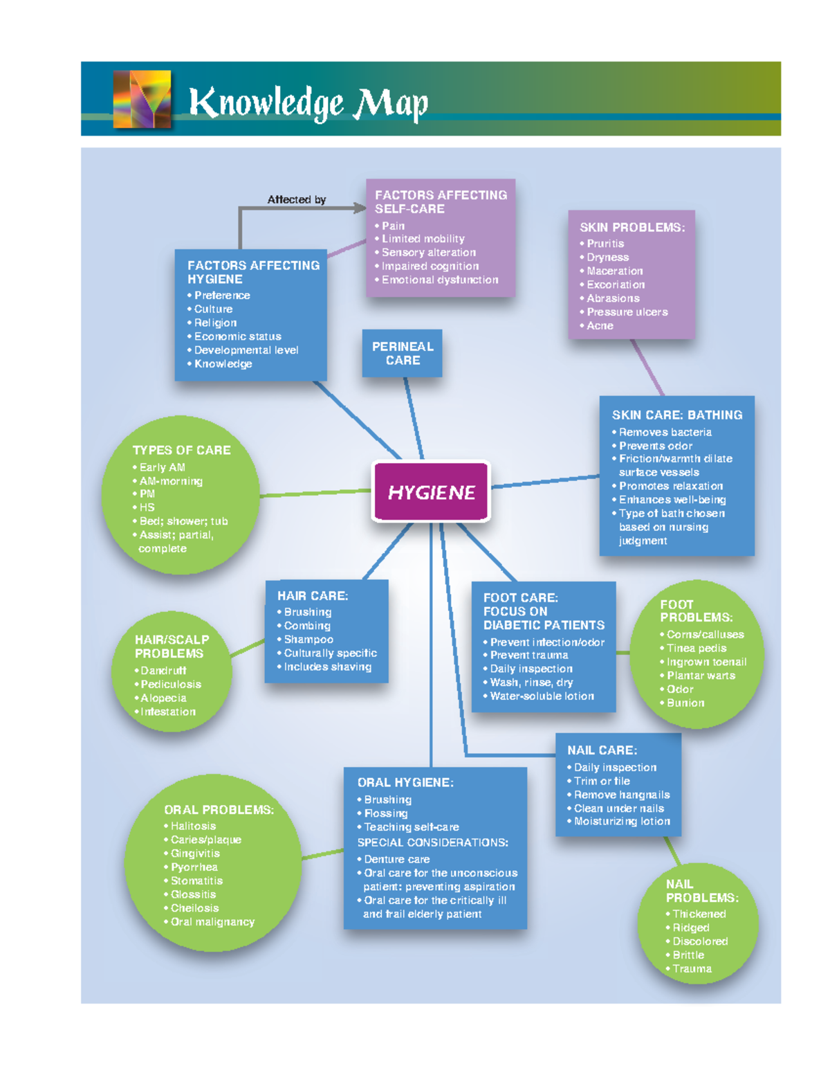 Chapter 24 Hygiene Concept Map HYGIENE Affected By FACTORS AFFECTING   Thumb 1200 1553 