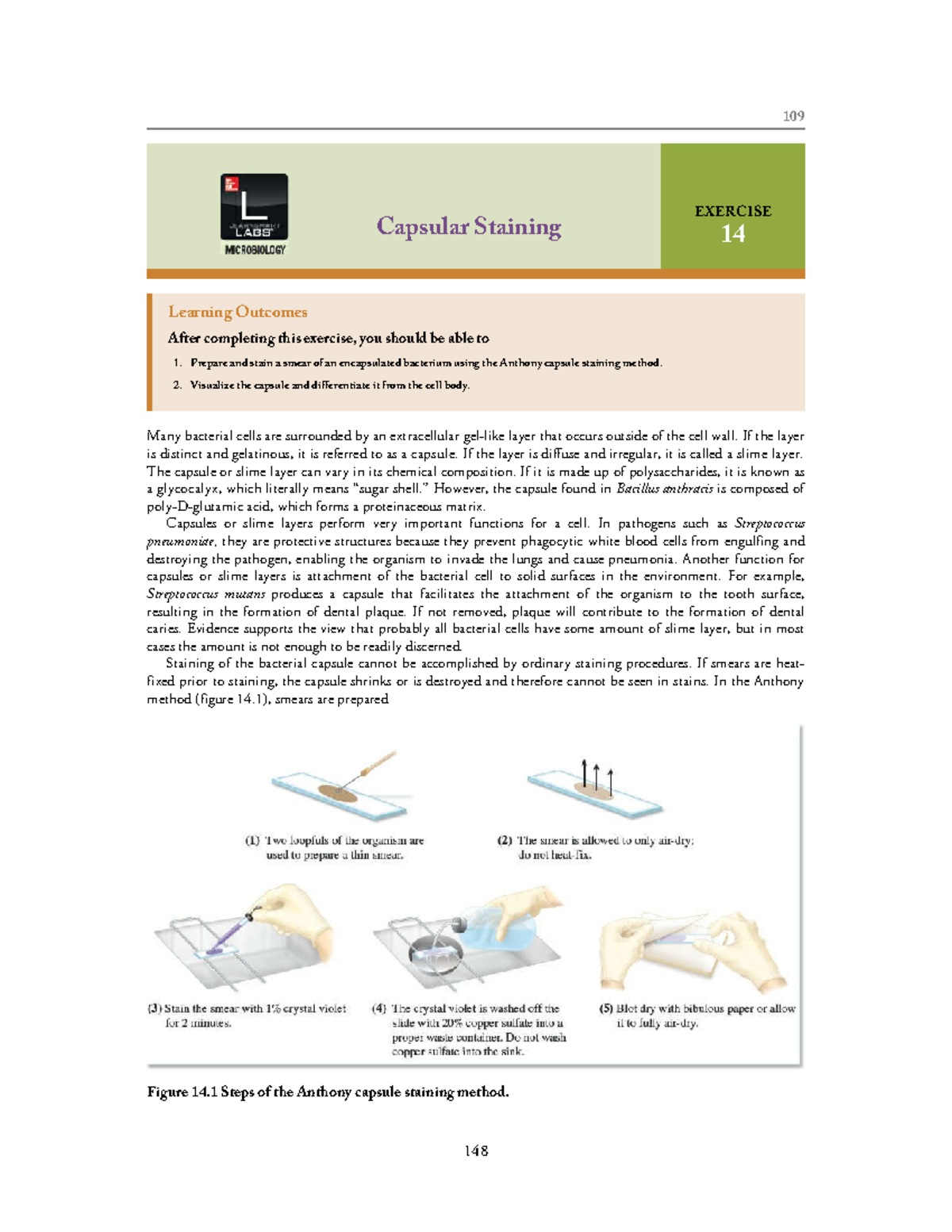 W32 merged - 3333333333333 - 109 Capsular Staining EXERCISE 14 Learning ...