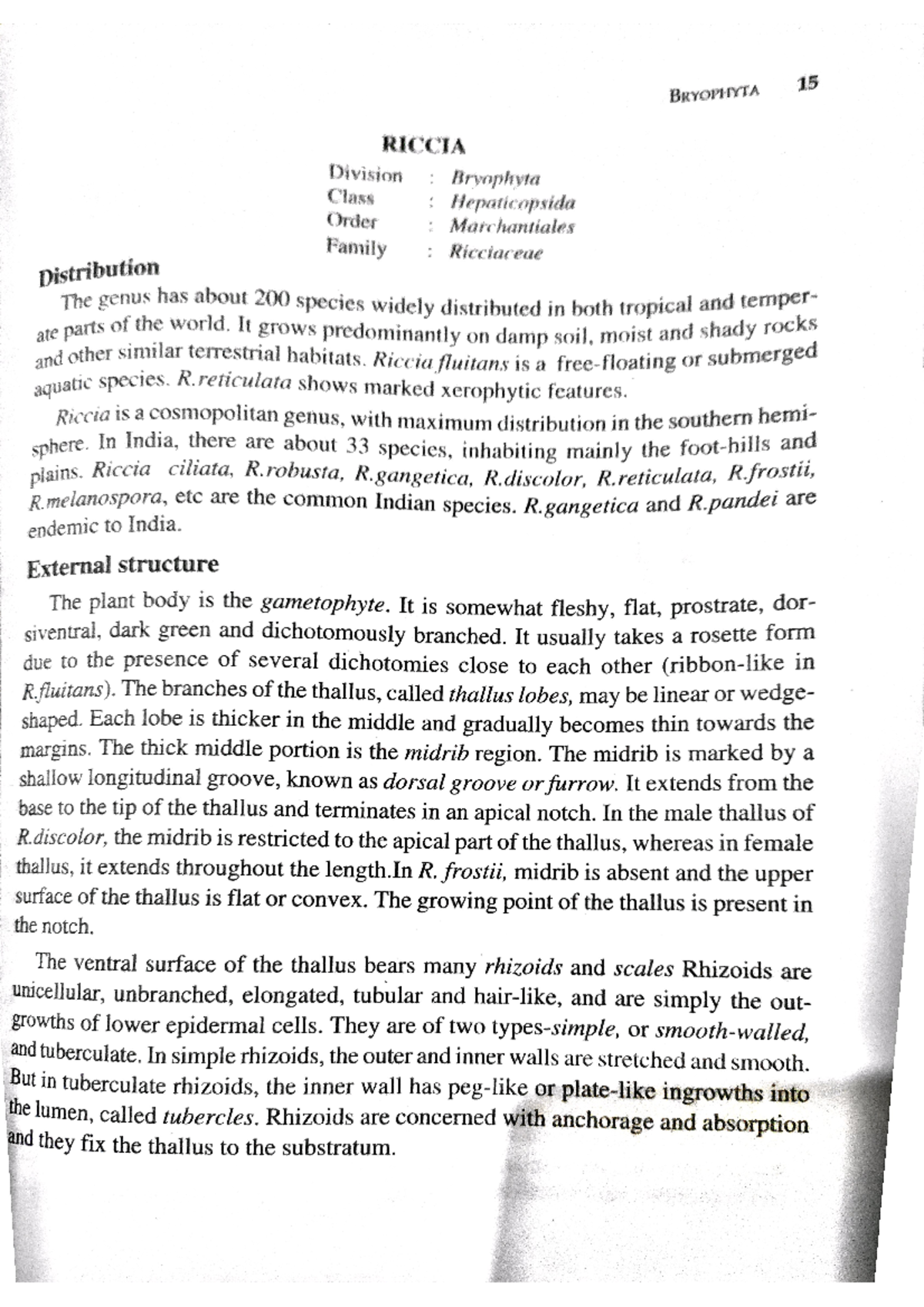 Evolution of pteridophyta - Bryology, Pteridology, Gymnosperms ...