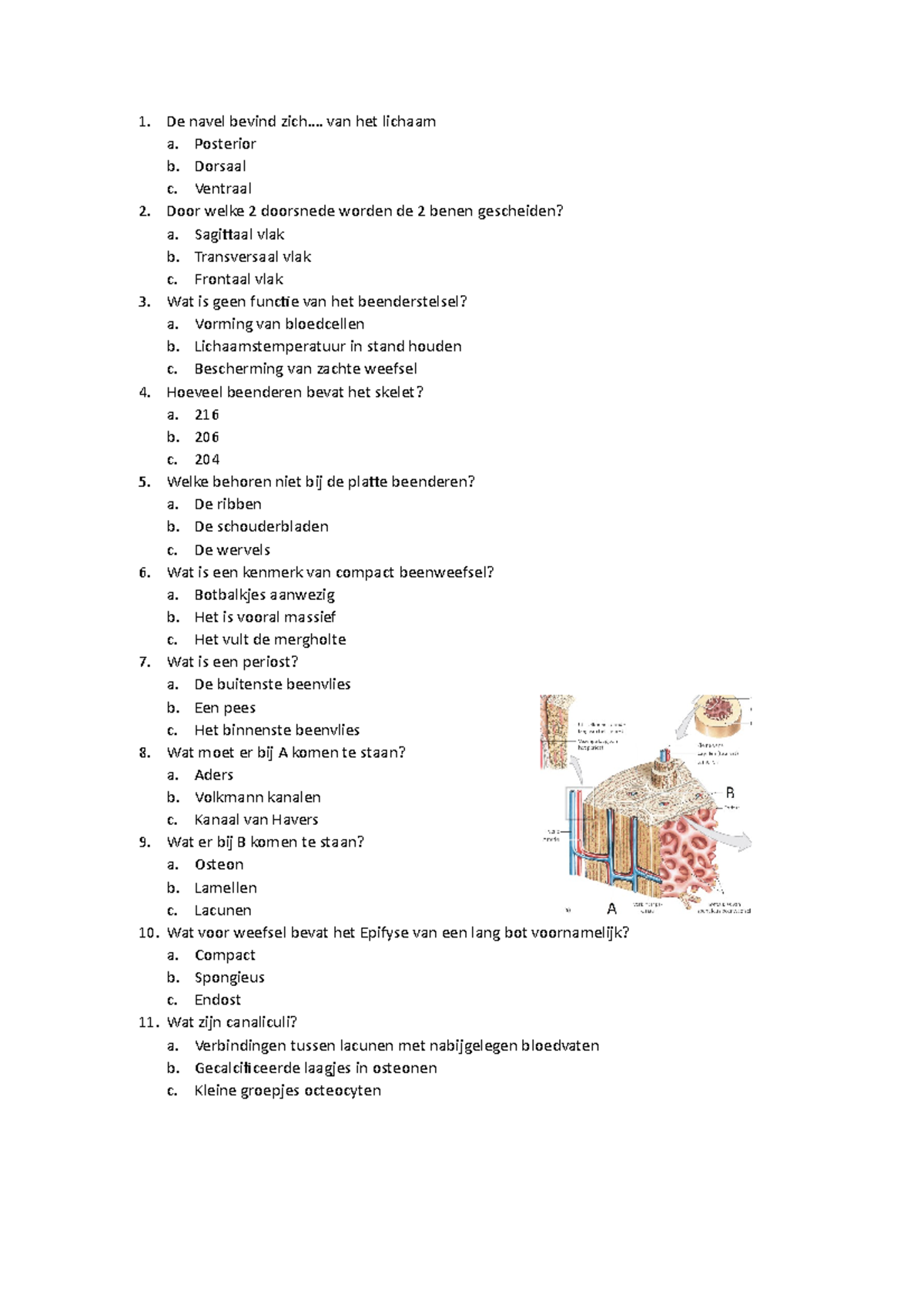 Oefenvragen Anatomie/ Fysiologie - 1. De Navel Bevind Zich…. Van Het ...