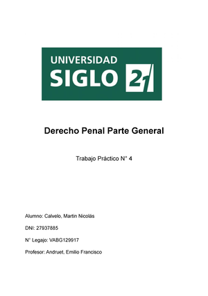 Derecho Penal Parte General T.P N° 3 - DERECHO PENAL PARTE GENERAL ...