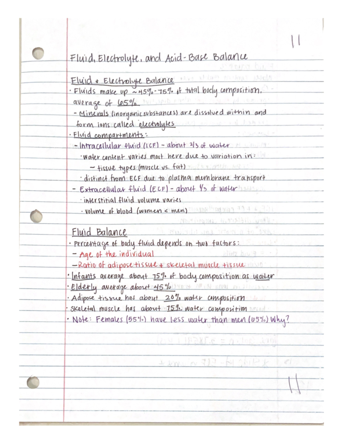 Acid-Base Balance Notes - BIO 142 - Studocu