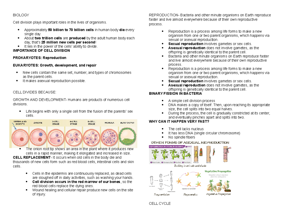 Biology - Lecture Notes 1-2 - BIOLOGY Cell Division Plays Important ...