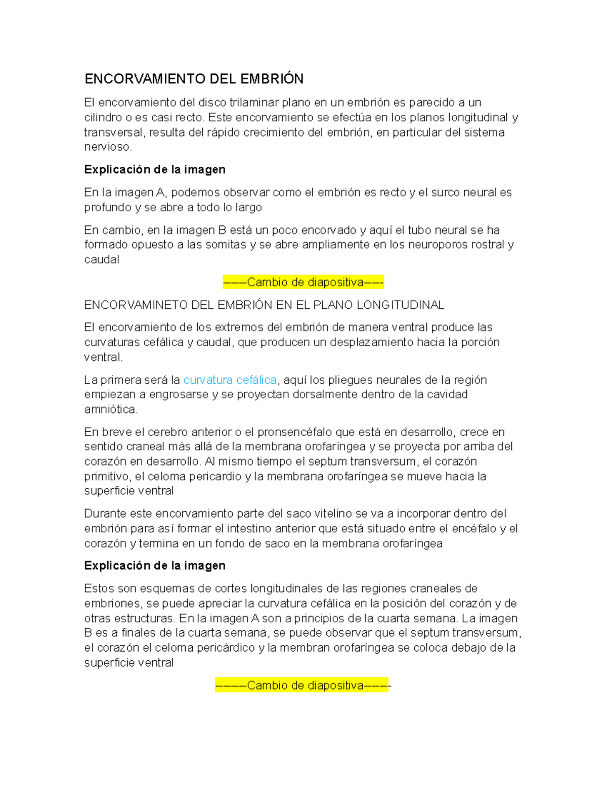 Cuarta Semana Embrio - Encorvamiento Del EmbriÓn El Encorvamiento Del 