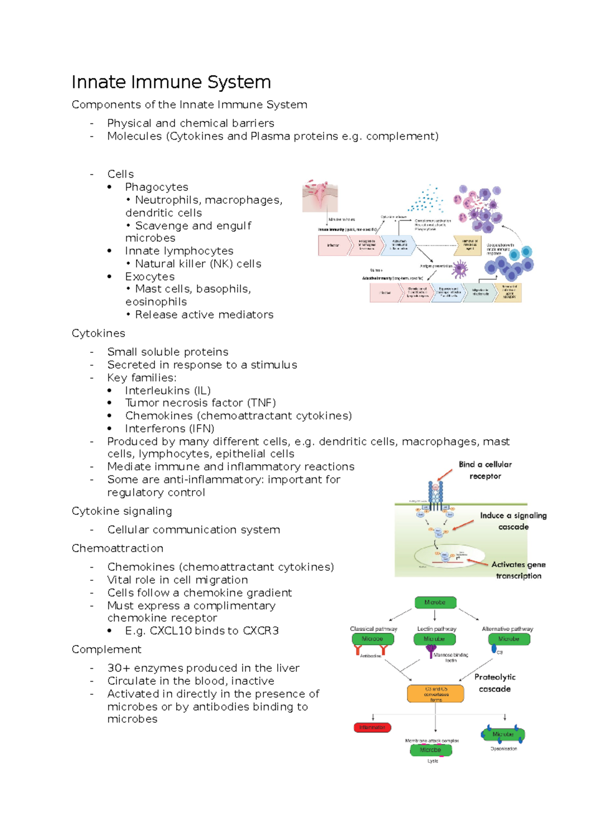 Innate Immune System - complement) - Cells Phagocytes - Neutrophils ...