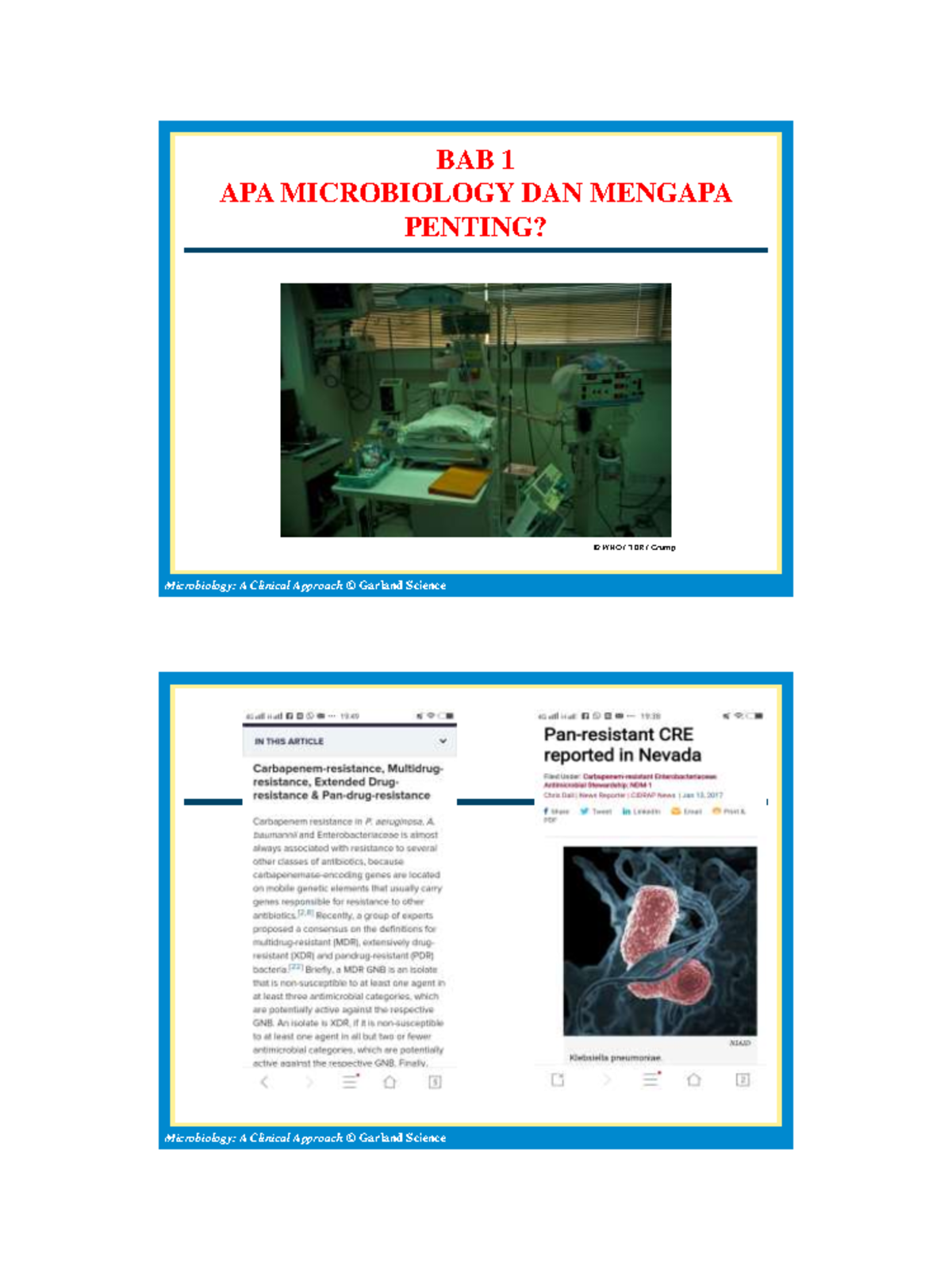 MK2. Pengantar Dan Sejarah Mikrobiologi 2020 - Microbiology: A Clinical ...