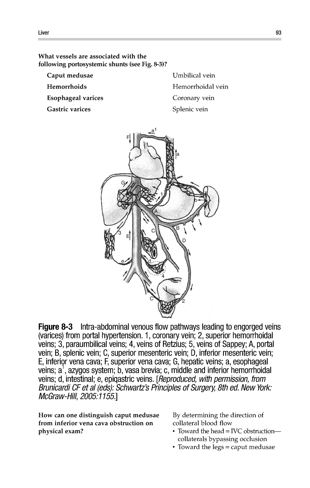 Deja Review Surgery 13 Cours What Vessels Are Associated With The 8892