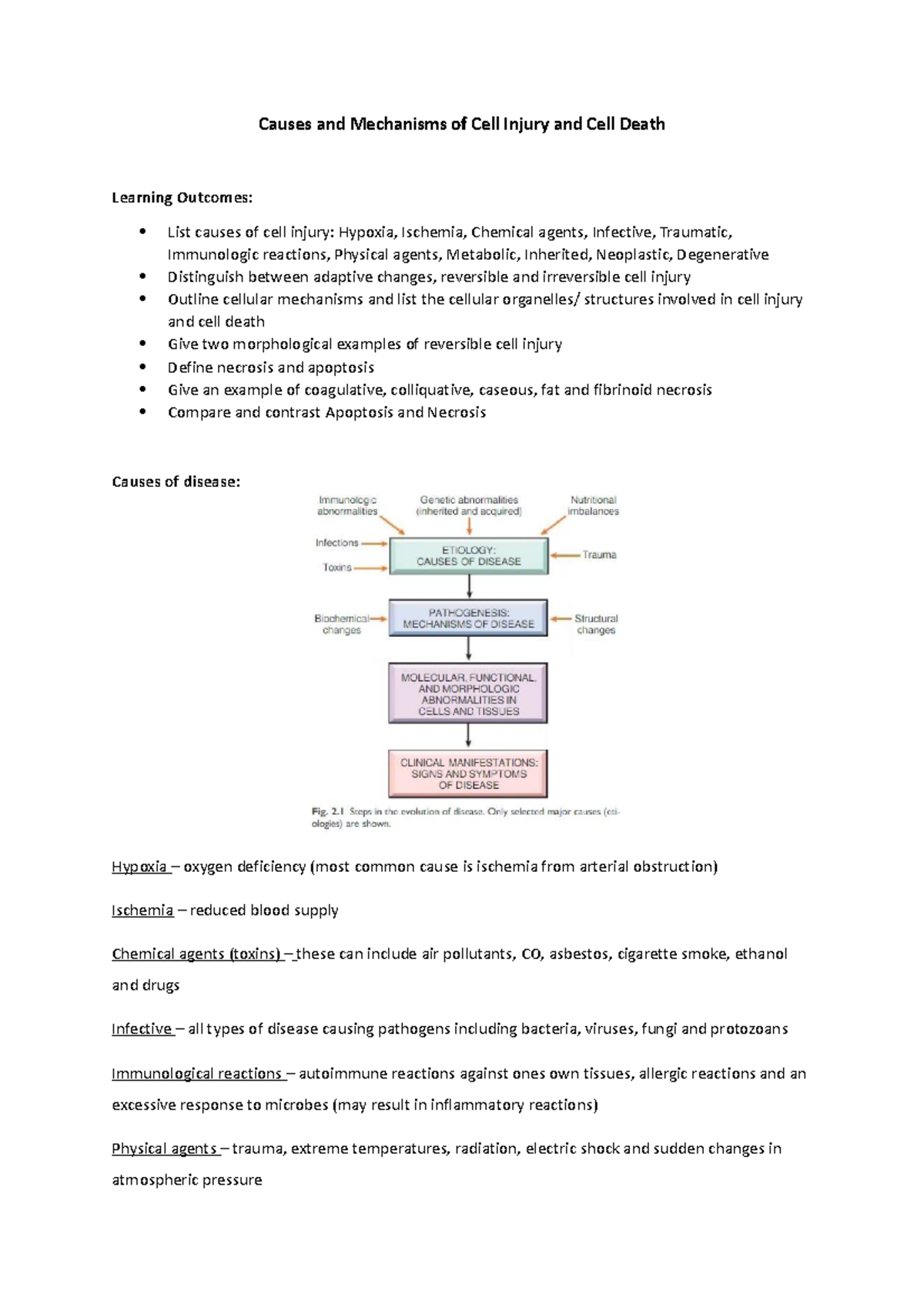 Causes and Mechanisms of Cell Injury and Cell Death - neurons and ...