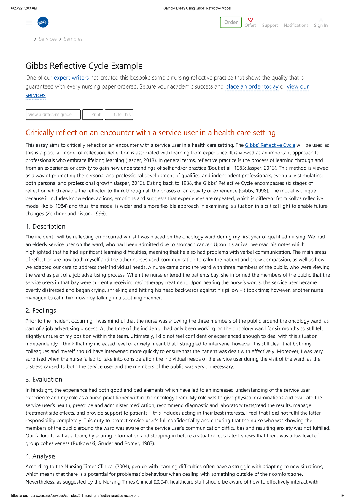 gibbs reflective cycle essay sample