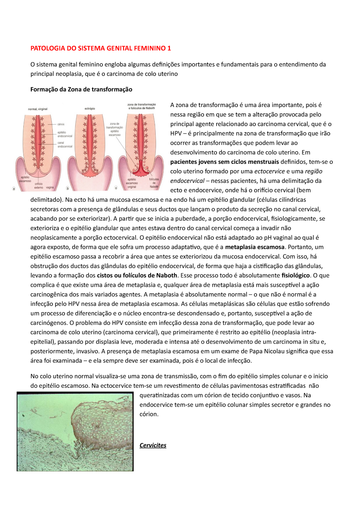 Aula de Patologia do Sistema Genital Feminino