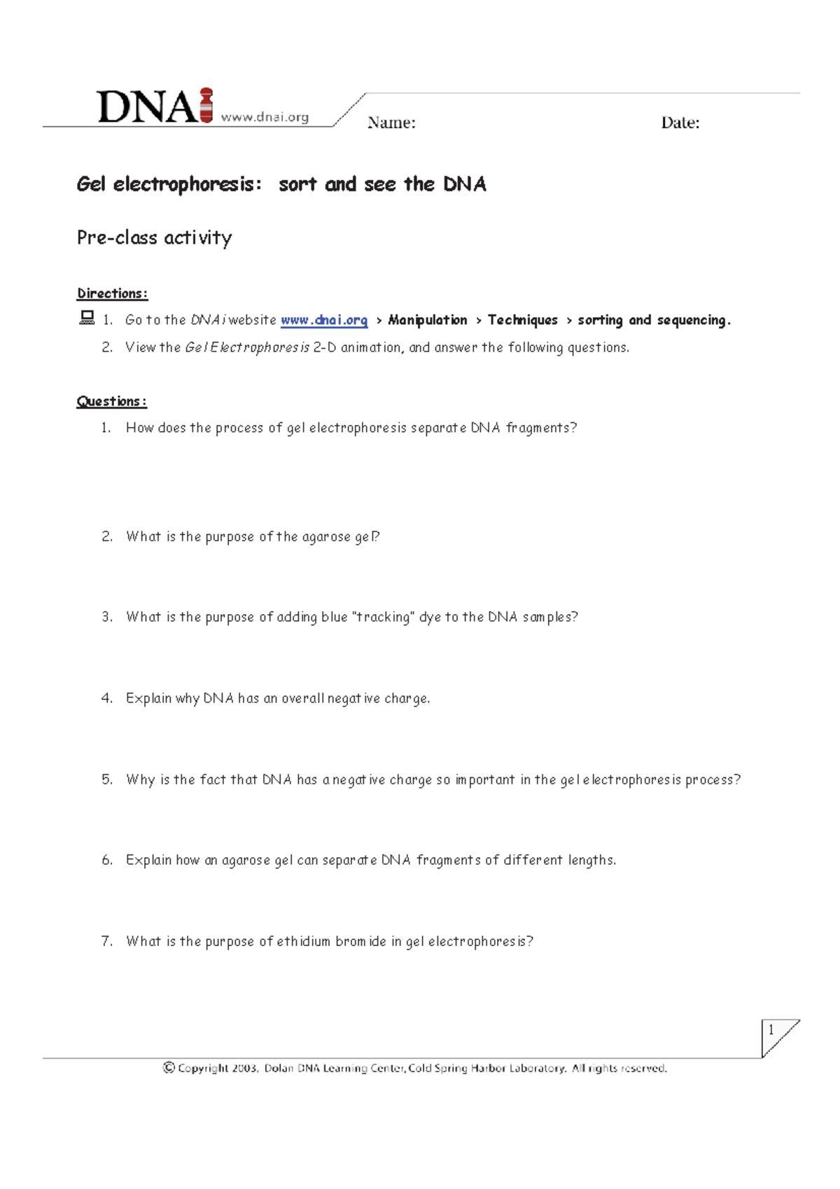 11a Virtual Lab Gel Electrophoresis Gel electrophoresis sort and