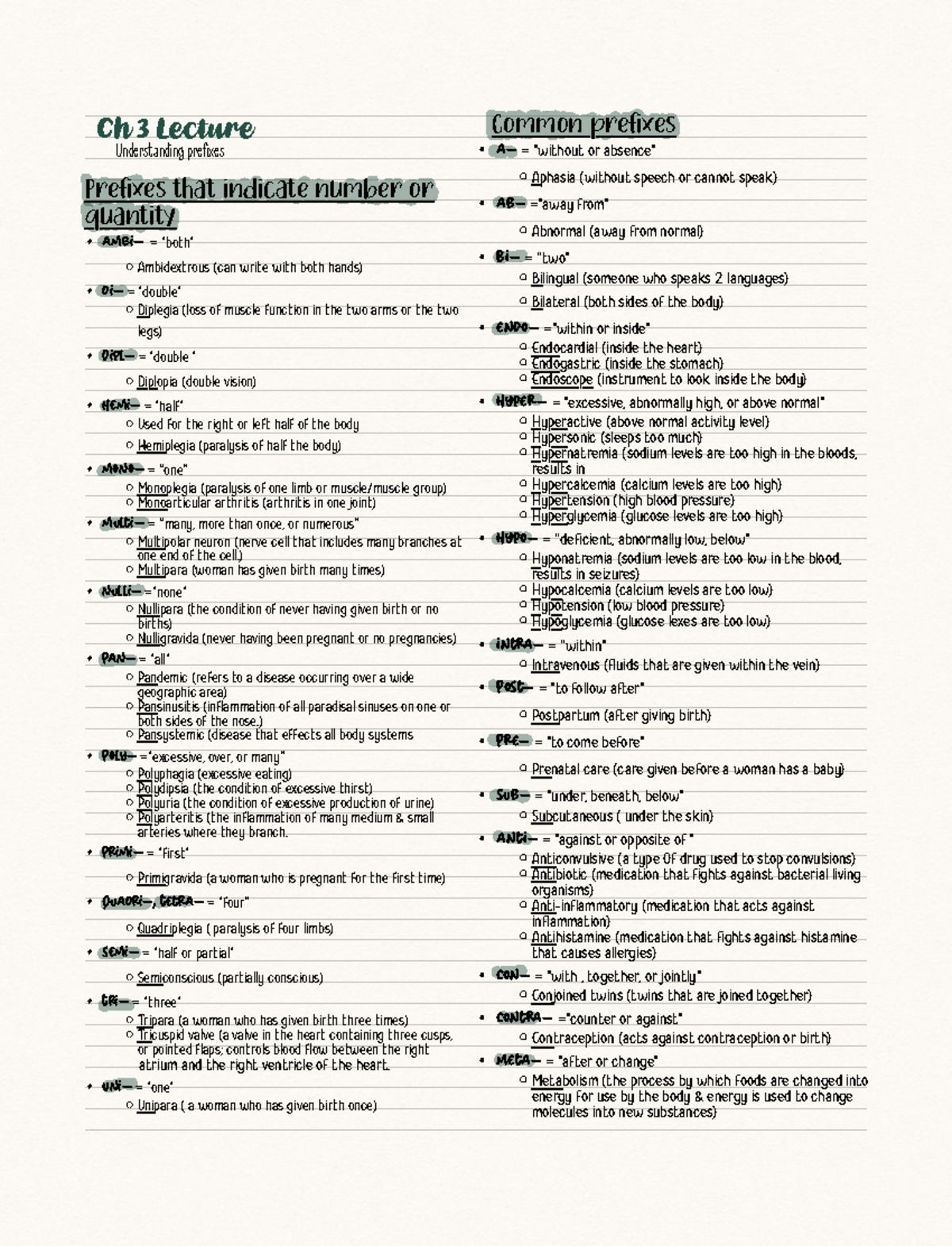 ch-3-lecture-ch-3-lecture-understanding-prefixes-a-without-or