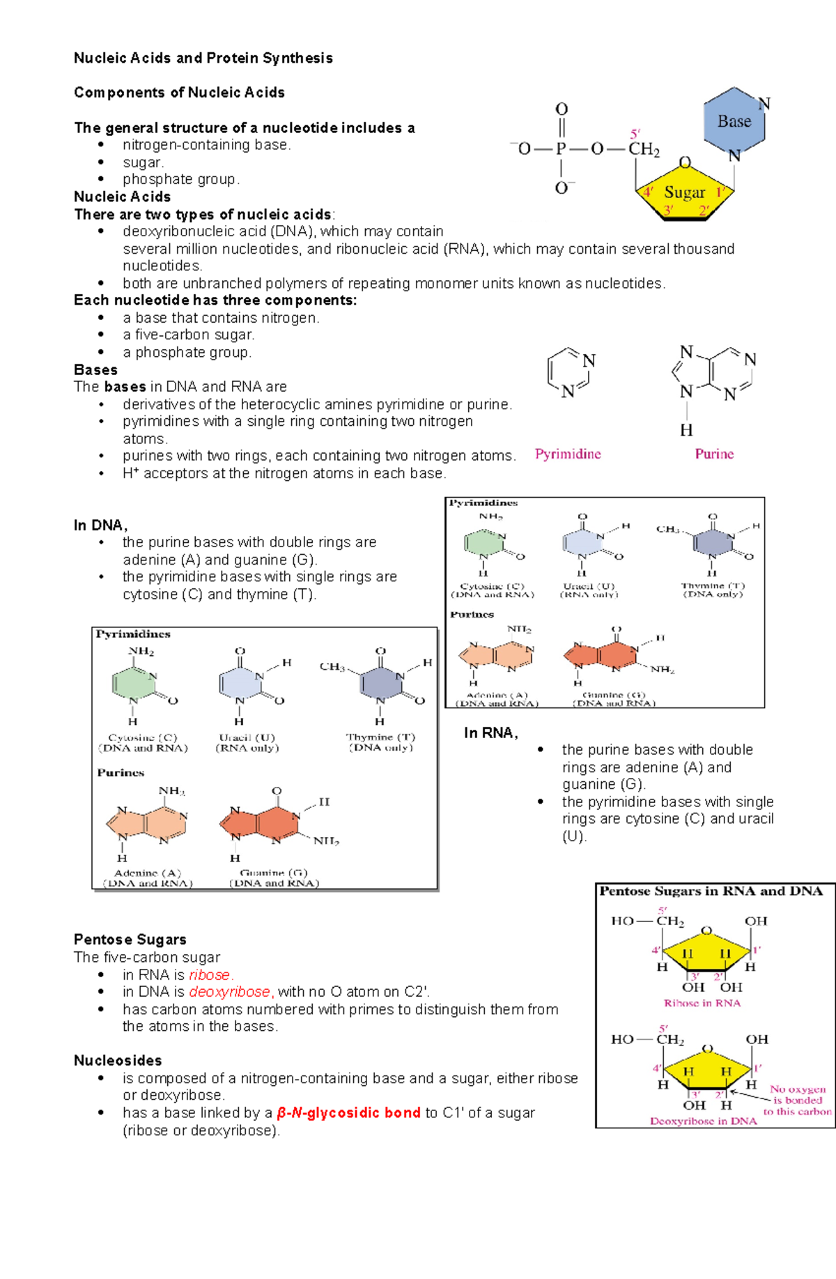 BIOCHEMISTRY Nucleic Acid Transes- All About Nucleic Acid - Nucleic ...