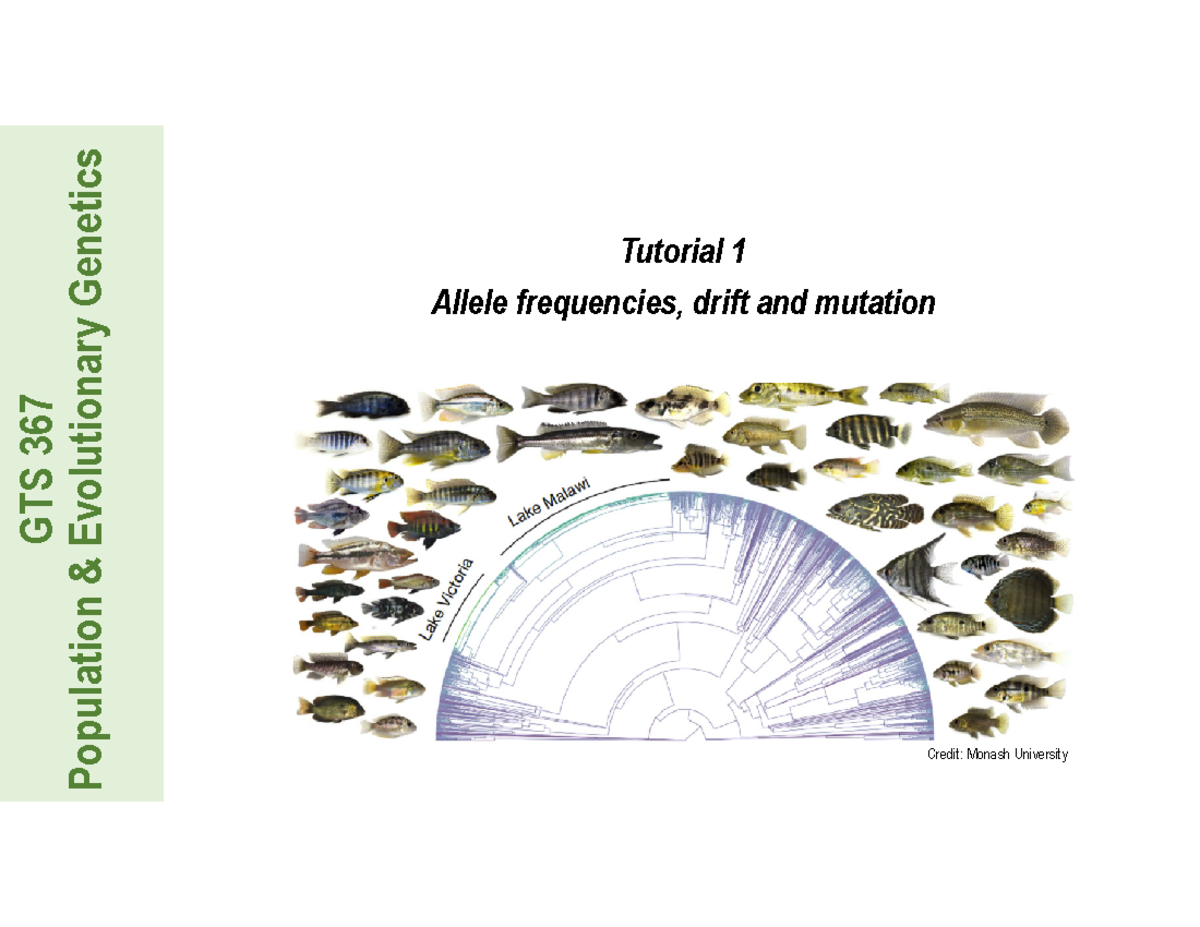 Tutorial 1 - GTS 367 Population & Evolutionary Genetics Tutorial 1 ...