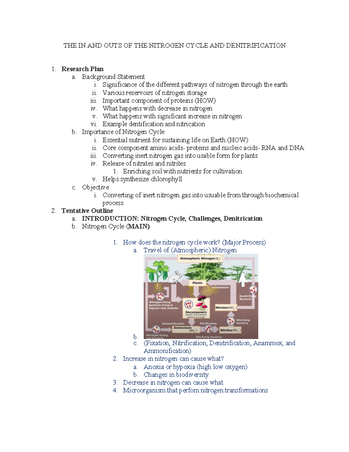 Doc1 - Eeeeeeeee - THE IN AND OUTS OF THE NITROGEN CYCLE AND ...