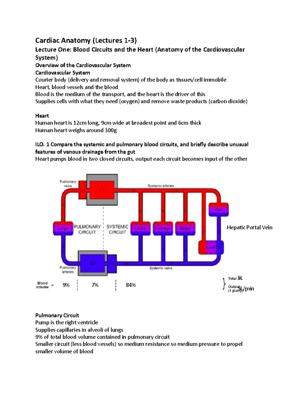 Cardiovascular System Anatomy Lecture Notes - Cardiac Anatomy (Lectures ...