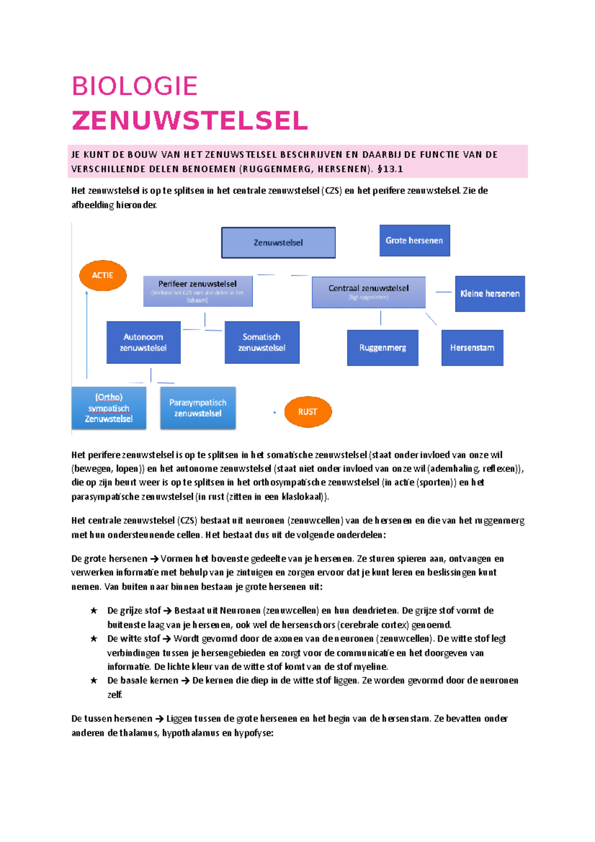 Biologie H13 Zenuwstelsel - BIOLOGIE ZENUWSTELSEL JE KUNT DE BOUW VAN ...